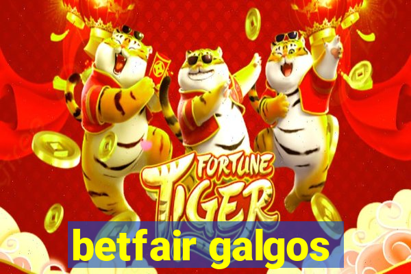 betfair galgos